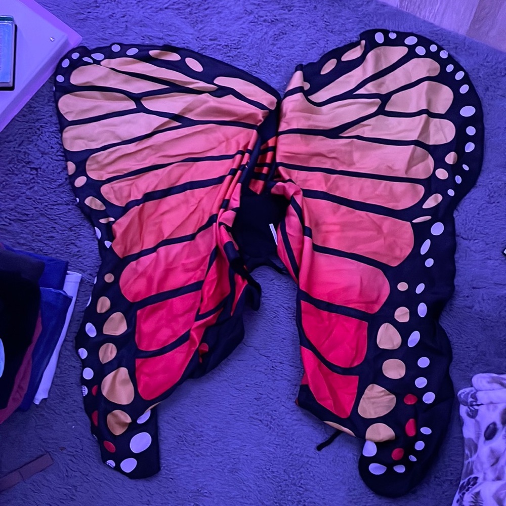 Butterfly wings